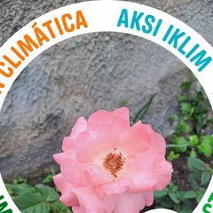 Profile Picture of Roberta Iraci (@roberta.iraci) on Tiktok