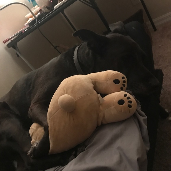 Profile Picture of Mia Cuccinello (@mkcucc) on Poshmark