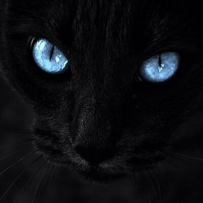 Ishmael Gonzalez - Twitter Profile Picture of Ishmael Gonzalez (@rocketig) on Twitter