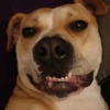 Profile Picture of Hazel Sharp (@@hazelsharp) on Tiktok