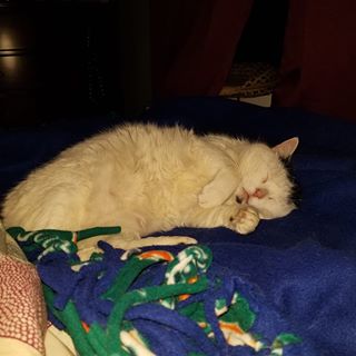 Sara Phillips Jolicoeur - Facebook Profile Picture of Sara Phillips Jolicoeur (@sara.jolicoeur) on Facebook