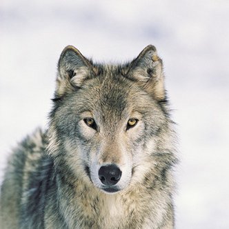 Profile Picture of Emilio Vanegas (@emilio_55_) on Twitter