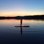 Profile Picture of Monique Hogan (@monique_hogan) on Instagram