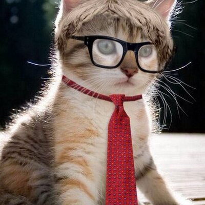 Profile Picture of Carter John Scherer (@CarterScherer) on Twitter