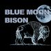 Profile Picture of Blue Moon Bison (@dennison0389) on Pinterest