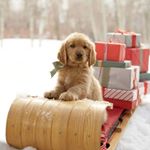 Profile Picture of 💚𝐄𝐯𝐞𝐫𝐲𝐨𝐧𝐞 𝐖𝐞𝐥𝐜𝐨𝐦𝐞💚 (@crystal.cloudss) on Instagram