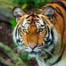 Profile Picture of Giga Gigo (@giga.gigo.777) on Facebook