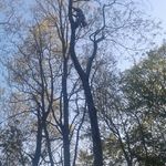 Profile Picture of Brandon Strollo (@stroll_o) on Instagram