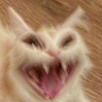 Profile Picture of Kyle (@mini_samuel) on Instagram