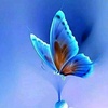 Profile Picture of Asha Prakash (@ashaprakash20) on Tiktok