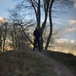 Profile Picture of Ben Reid (@b_e_n_r_e_i_d) on Instagram