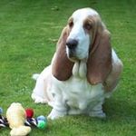 Profile Picture of Diane Johnson Tocher (@diane.tocher) on Instagram