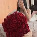 Profile Picture of Diana Alvarado (@Diana-Alvarado) on Facebook