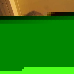 Profile Picture of Thomas Aswad (@lnwolf469) on Myspace
