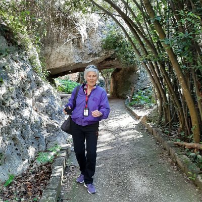 Profile Picture of Joyce Hetherington (@JoyceHethering2) on Twitter