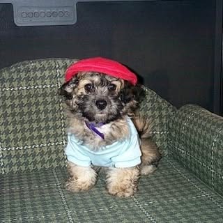 Profile Picture of Rick Davison (@davison.rick) on Instagram