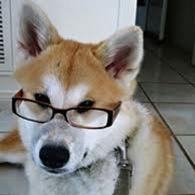 Profile Picture of Simon Leong (@Simon___Leong) on Twitter