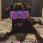 Profile Picture of Joseph Knoll (@joseph.knoll) on Instagram