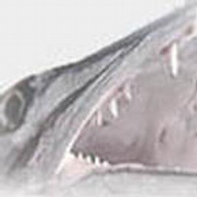 Profile Picture of Randy Bowers (@wbowers2) on Twitter