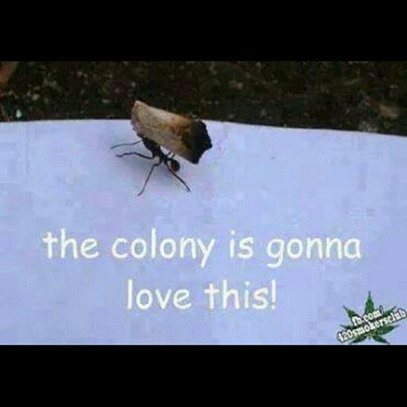 Profile Picture of Jessie Everton (@cobraslayer11) on Poshmark