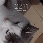 Profile Picture of Doris Petersen (@lille_doris) on Instagram