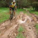 Profile Picture of Jorge Ballester (@1jorge47) on Instagram