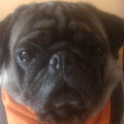 Profile Picture of Blake Beeson (@jbbeeson) on Twitter