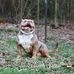 Profile Picture of Jeremie Jones (@jl.jones.188) on Facebook