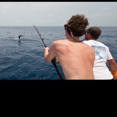 Profile Picture of Thomas Ulmer (@ThomasUlmer17) on Twitter