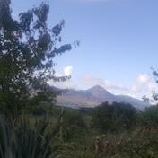 Profile Picture of Olivia Needham (@olivianeedham48) on Youtube