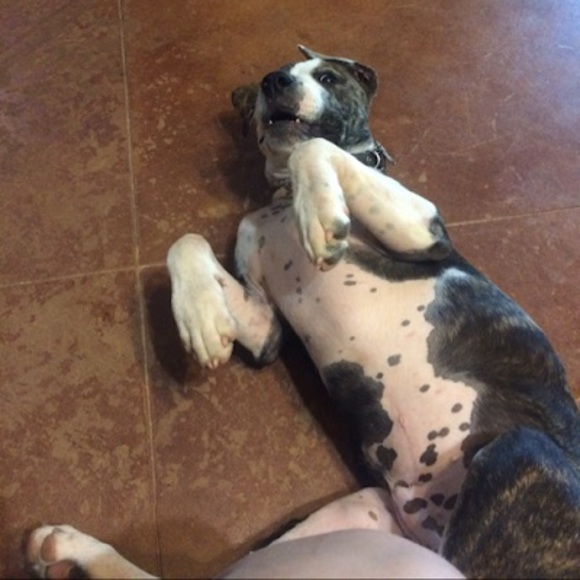 Ashley Batey - Poshmark Profile Picture of Ashley Batey (@bateyashley4) on Poshmark