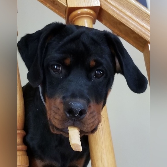 Profile Picture of Kyle Lilley (@kyle219) on Poshmark