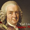 Profile Picture of jacquelineshields540 (@jacquelineshields540) on Instagram