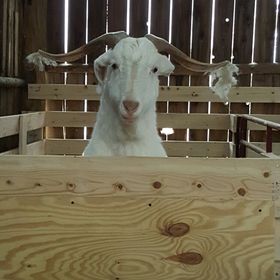 Profile Picture of Kerry Kimball (@kerry928) on Pinterest