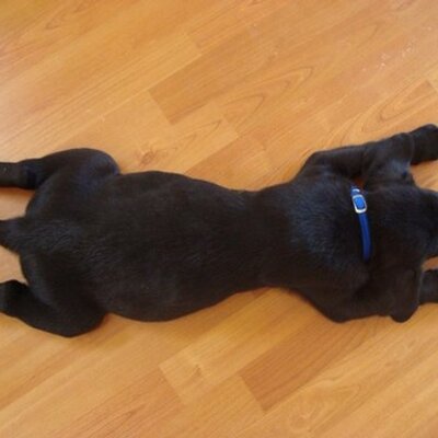 Profile Picture of Mike Machen (@Mach803280) on Twitter