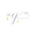 Profile Picture of Janet Lloyd (@elizajweddings) on Twitter