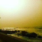 Profile Picture of angelo gallace (@gallaceangelo.ag) on Instagram