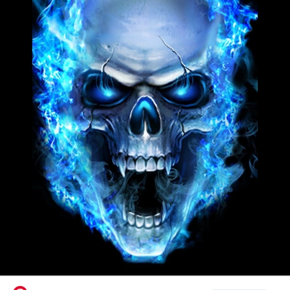 Profile Picture of Stevie Brucculeri (@sbrucculeri) on Poshmark