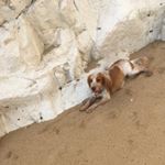 Profile Picture of Matthew Gilbert (@matthewgilbert38) on Instagram