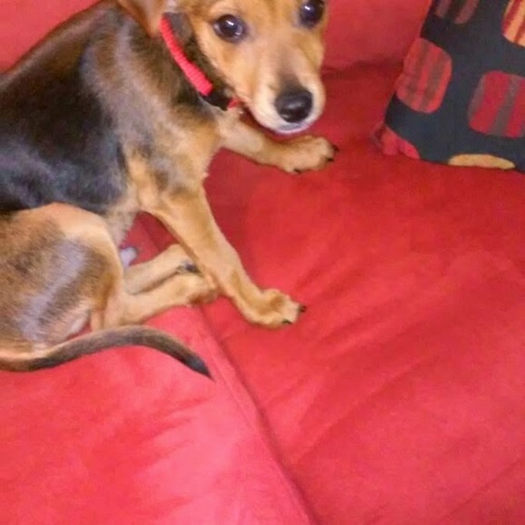 Profile Picture of Carolyne Thigpen (@carolynethigpen) on Poshmark