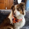 Profile Picture of Elijah Stevenson (@@elijah.sky) on Tiktok