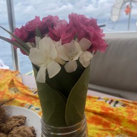 Profile Picture of Amy Falk Weinberger, MS.Ed. (@AmyFWeinberger) on Pinterest