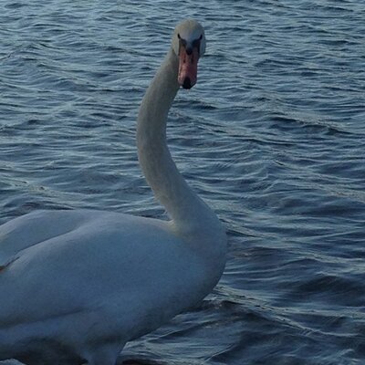 Profile Picture of Sandrine Gauthier (@fracasan) on Twitter