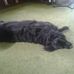 Profile Picture of Glenna Botkins (@glenna.botkins.5) on Facebook