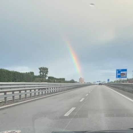 Profile Picture of Cosimo Di Terlizzi (@cosmoditerlizzi) on Tiktok
