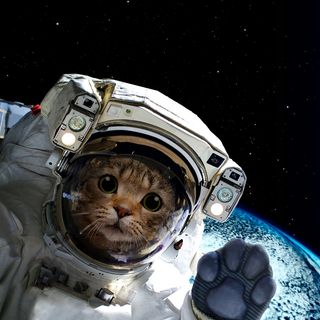 Profile Picture of Jaime Guamache (@jaime.guamache.984) on Facebook