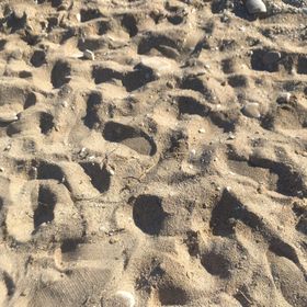 Profile Picture of Samantha Baldoni (@samanthabaldoni) on Pinterest