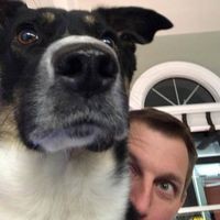 Zachary Horn - Quora Profile Picture of Zachary Horn (@zachary-horn-14) on Quora