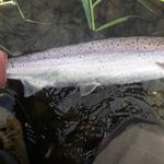 Profile Picture of Craig Burmann-Duke (@burmannduke) on Instagram