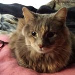 Profile Picture of Alexandre Allaire (@alexyo124) on Instagram